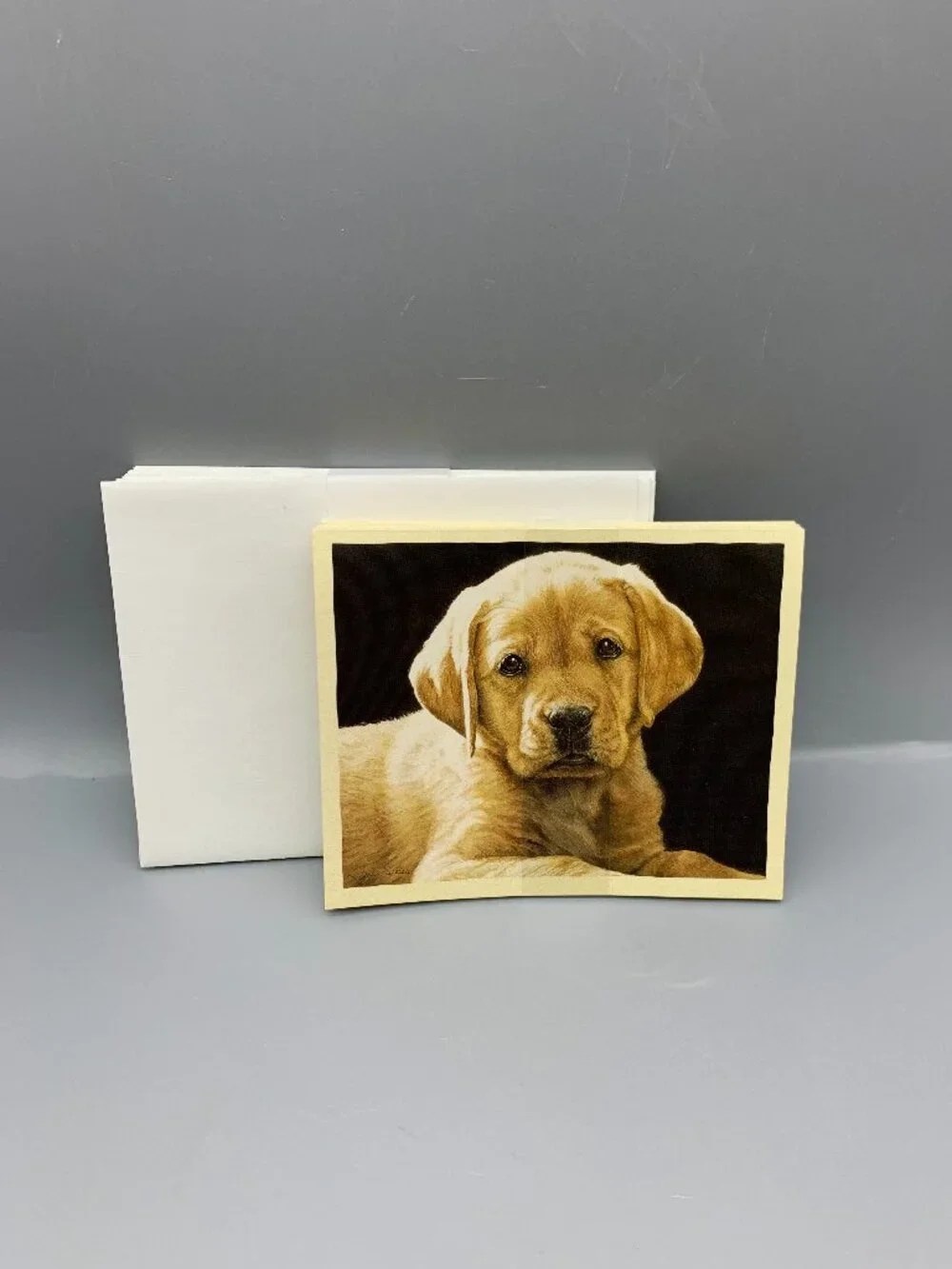 NEW Box Lang Lab Note Cards with Envelopes and Yellow Lab Book
